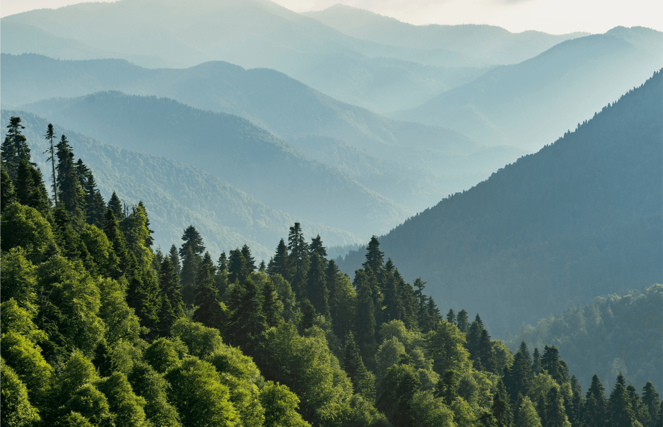 Sustainability：環境方針