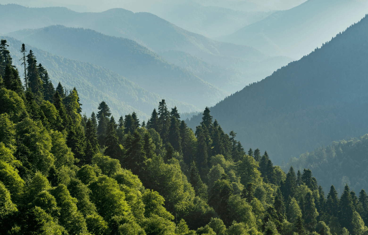 Sustainability：環境方針